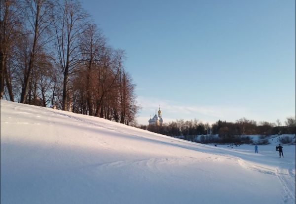 Январь в Вологодской области завершится потеплением0