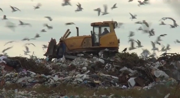 Крупнейший мусорный полигон в Перми хотят ликвидировать в 2029 году0