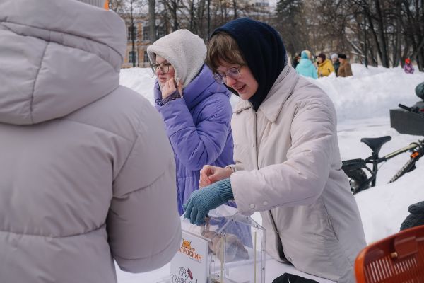 Фотогалерея: в Перми прошла благотворительная акция «Собака-обнимака»36