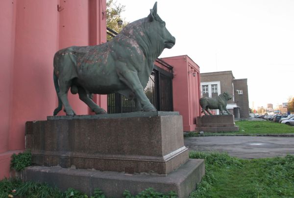 На бывшем мясокомбинате в Петербурге построят еще один жилой комплекс0