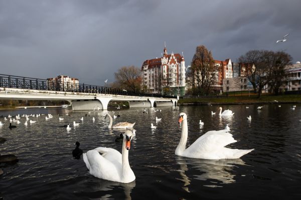 Очереди за штампом, торф в КНР, шторма, банкротство главы «Акфена». Итоги0