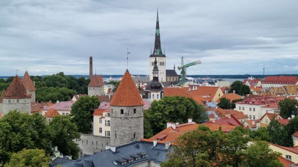 Петербургские перевозчики увеличили число рейсов в Европу0