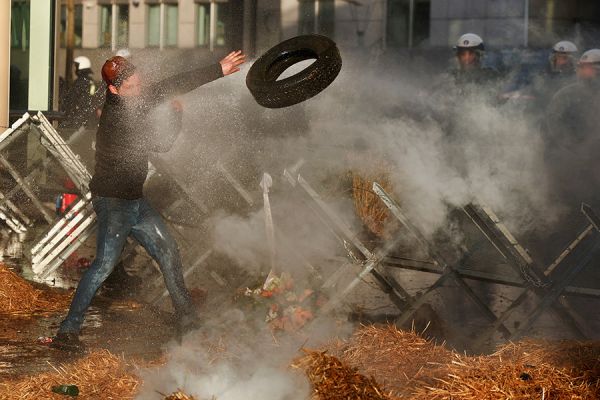 Почему по всей Европе продолжают протестовать фермеры26