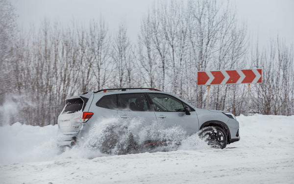 В России снова начали продавать официальные Kia, Nissan и Subaru. Как это2