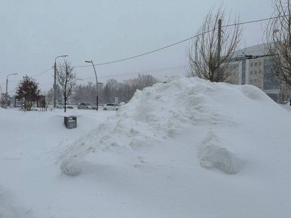 В Татарстане продажи лопат для уборки снега выросли на 57%0