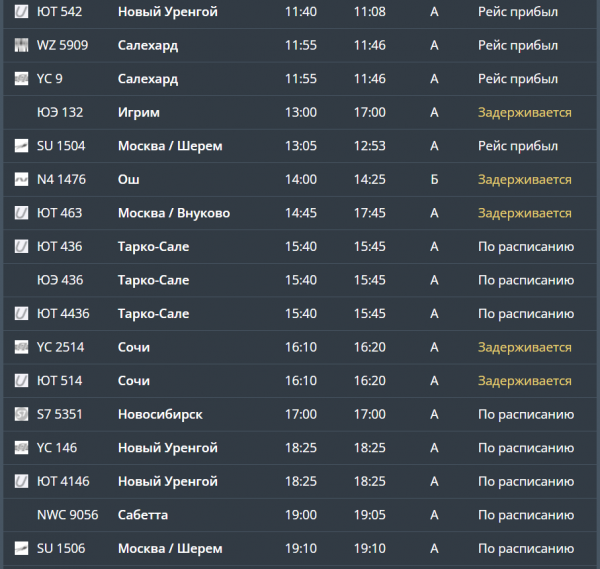 В тюменском Рощино массовая задержка авиарейсов2