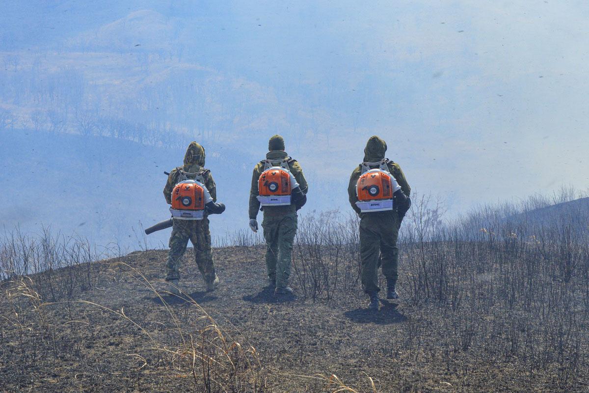 В Приморье локализовали пожар в национальном парке «Земля леопарда»