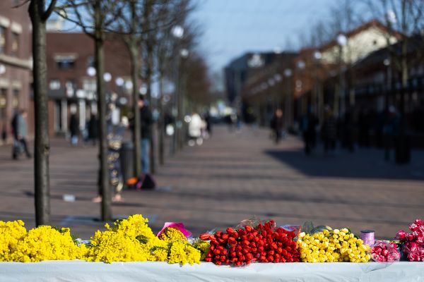 Неконкурентные яйца, планы музея, два парома и РБК Weekend. Итоги0