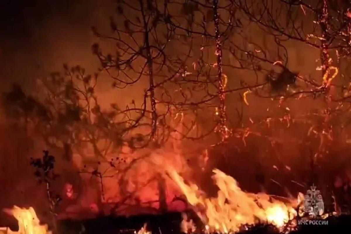 В Крыму площадь крупного пожара существенно увеличилась