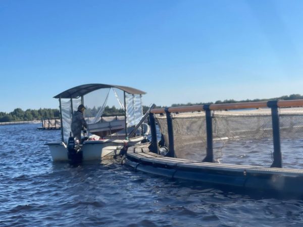 Рыбоводное предприятие под Белозерском будет развивать туризм0