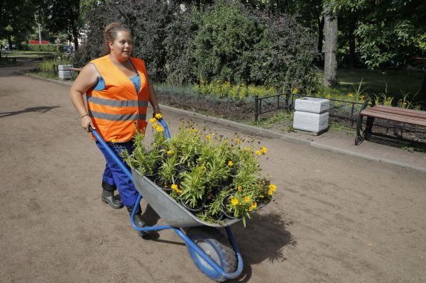 В Петербурге могут удвоить расходы на обустройство дворов и парков0