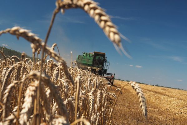 12 районов Новосибирской области ввели режим ЧС из-за погодных условий0