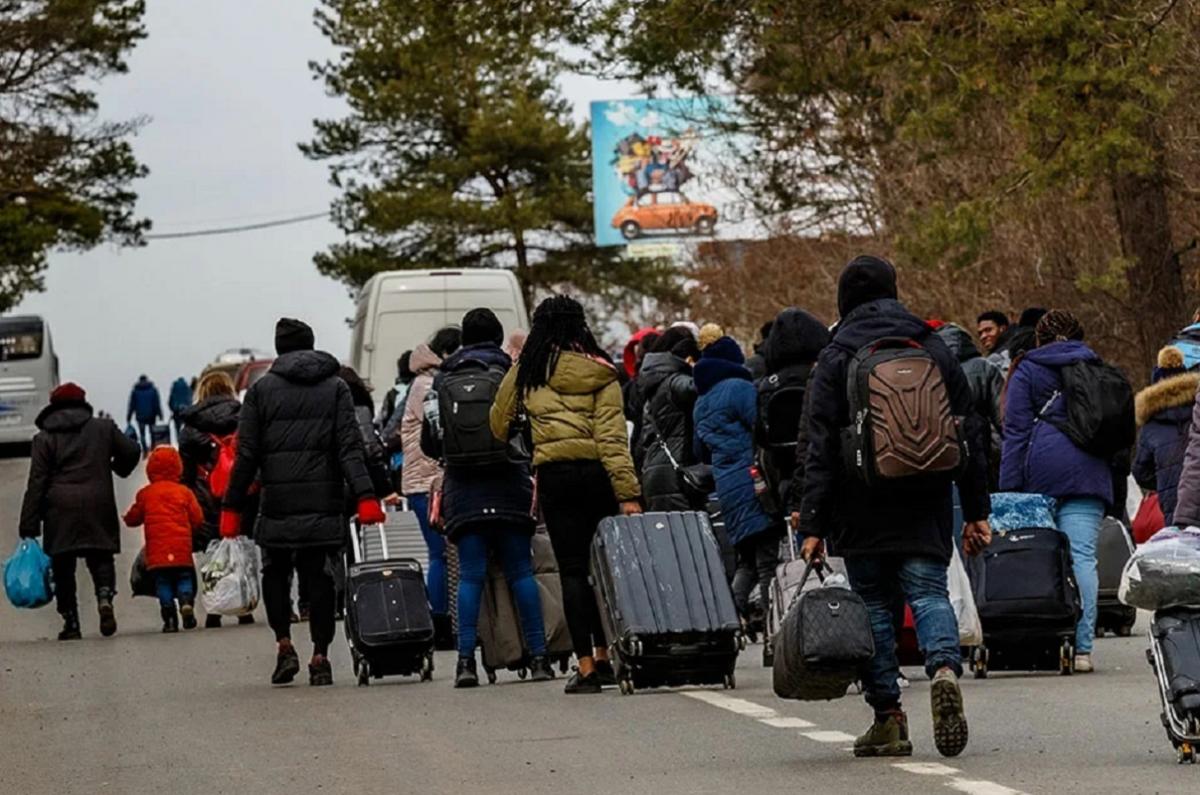 Прекращение поддержки Украины приведет к наплыву беженцев в ФРГ и миграционной катастрофе для ЕС