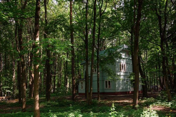 «Городок литераторов»: как проходит Reading Camp в Переделкино4