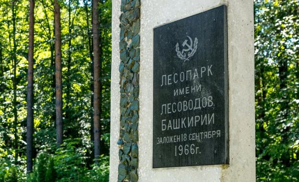 На проект Уфимского зоопарка направят до 26 млн руб.0