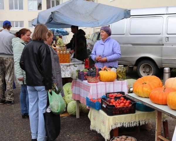 Вологжане потратили на ярмарках почти полмиллиарда рублей0