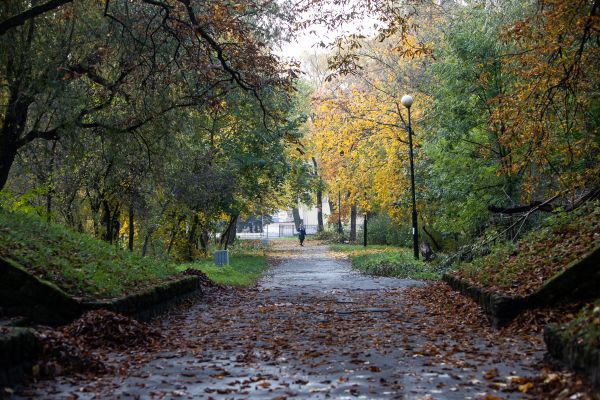 Циклон «Кирк» вернул осень в Калининградскую область0