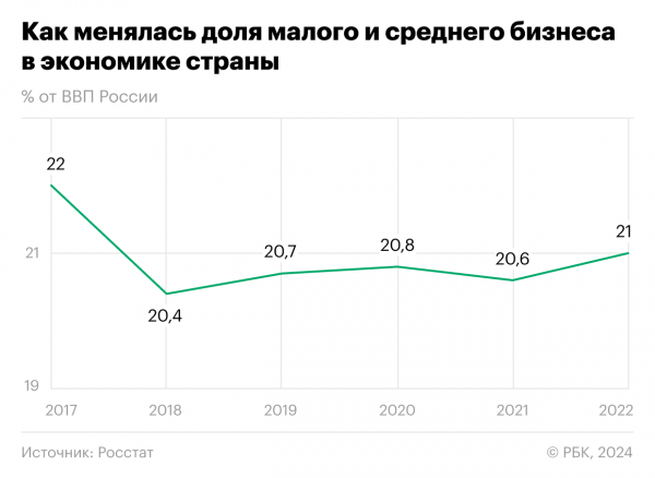 Как доля малого и среднего бизнеса подросла в 2022 году. Инфографика0