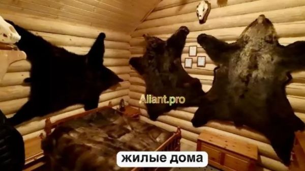 Крупное охотхозяйство продают под Череповцом0