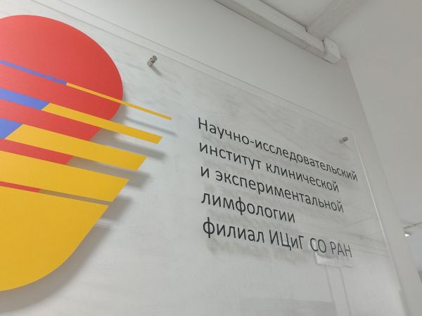 Новосибирские ученые разрабатывают лекарство для лечения фиброза печени0