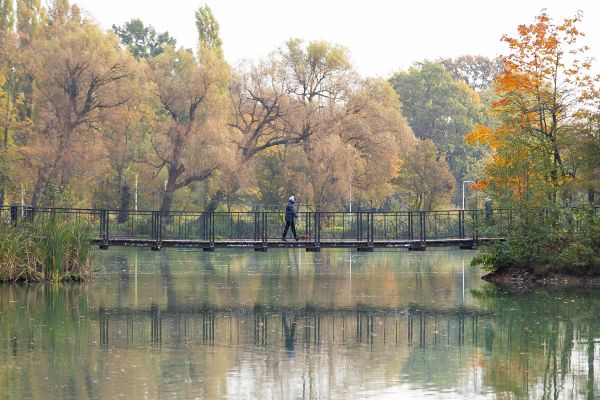 Отставка Кускова, смерть на подлодке и цены на молоко и масло. Итоги0