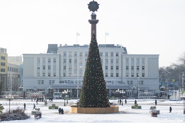 Покупку ёлки для Калининграда обсудят после Нового года0