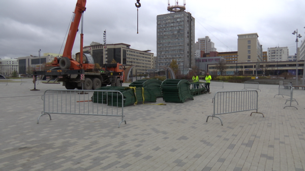 В центре Перми начали устанавливать главную новогоднюю ель0