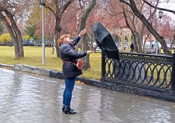 В Новосибирской области спрогнозировали «сильное понижение температуры»0