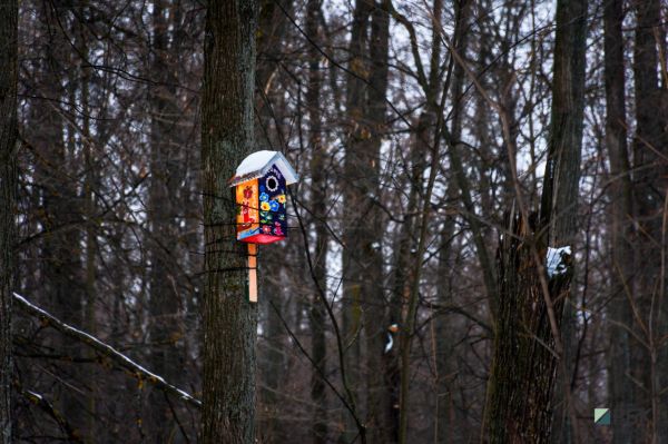 В Татарстане ожидается мокрый снег и до -8 градусов0