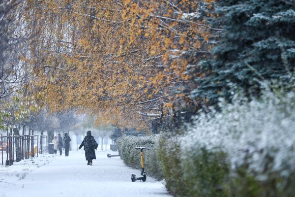 Генплан изменят, субсидии на «несанкционку» и открытие поликлиники. Итоги0