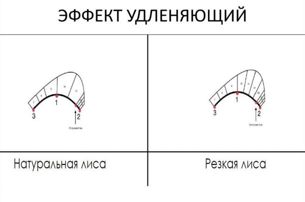 Как наращивают ресницы: виды, эффекты, техники8