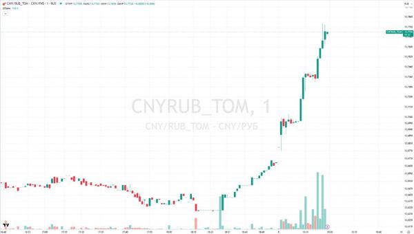 Крупный перевозчик откроет туристический бизнес в Петербурге за 4 млрд6