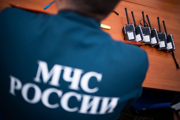 МЧС: на разминирование леса под Балтийском понадобится несколько лет0