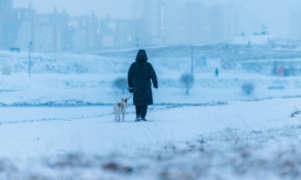 На Тюмень обрушится сильный снегопад0