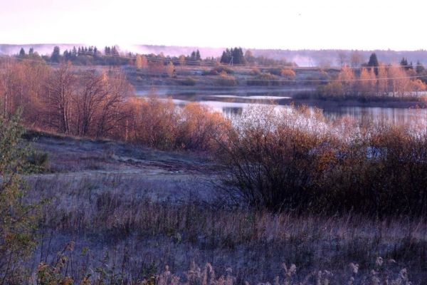 Площадки для наблюдения за животными появятся в нацпарке «Русский север»0