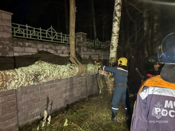 Синоптики рассказали о планах штормового циклона в Петербурге1