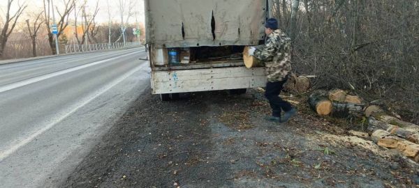 Упавшие деревья, сломанные остановки, лужи: последствия шторма в Тюмени2