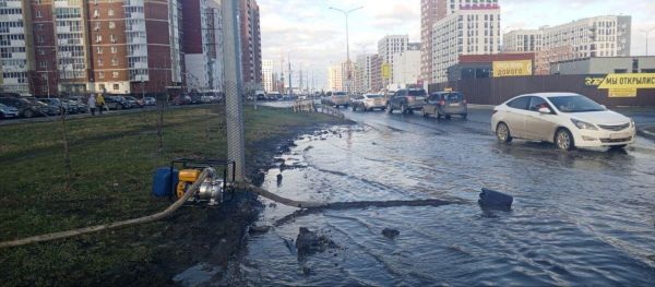 Упавшие деревья, сломанные остановки, лужи: последствия шторма в Тюмени3