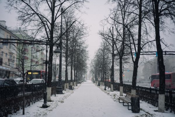 В Прикамье температура воздуха в выходные окажется на 4–6°С выше нормы0