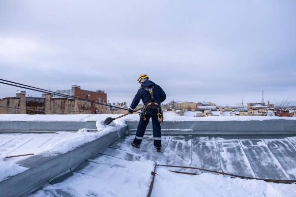 Более 45 га территории природного парка в Анапе загрязнены нефтью6