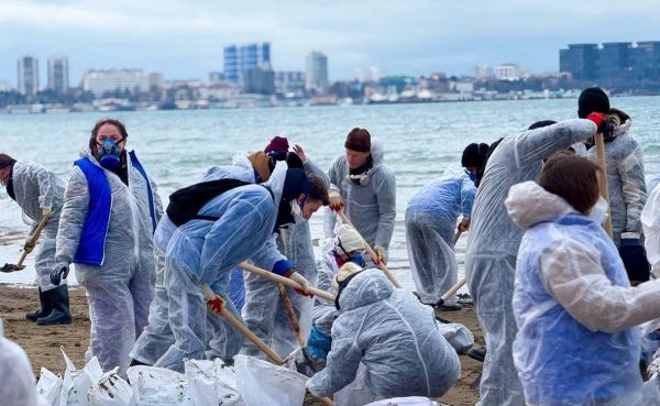 «Дельфа»: дельфины Черного моря могут уйти от экологической катастрофы0