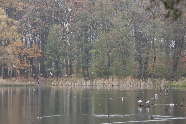 Новый глава таможни, конец банкротству Байтарова и цены на масло. Итоги0