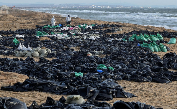 Режим ЧС из-за разлива мазута в Черном море повысили до федерального0