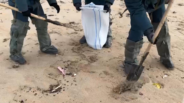 В Анапе начали очистку загрязненного мазутом побережья. Видео0