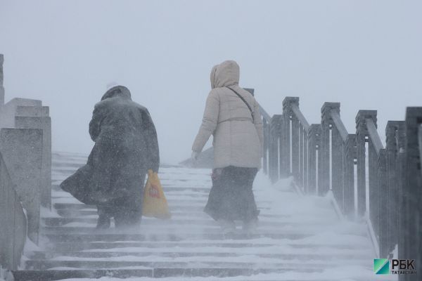 В Татарстане ожидаются похолодание, метель и сильный ветер0