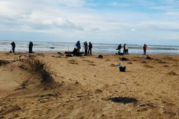 Экологи рассказали, сколько мазута может всплыть в Черном море к лету2