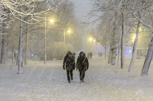 Синоптики рассказали о «приятной для зимних каникул» погоде в Петербурге0