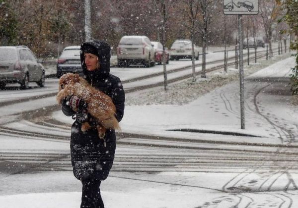 Высота снежного покрова в Петербурге выросла вдвое за сутки0